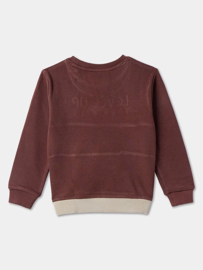 Boys Relaxed Fit Full Sleeve Crew Neck SweaT-Shirt