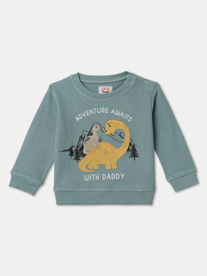 Full Sleeve Graphic Print Baby Boys Sweatshirt