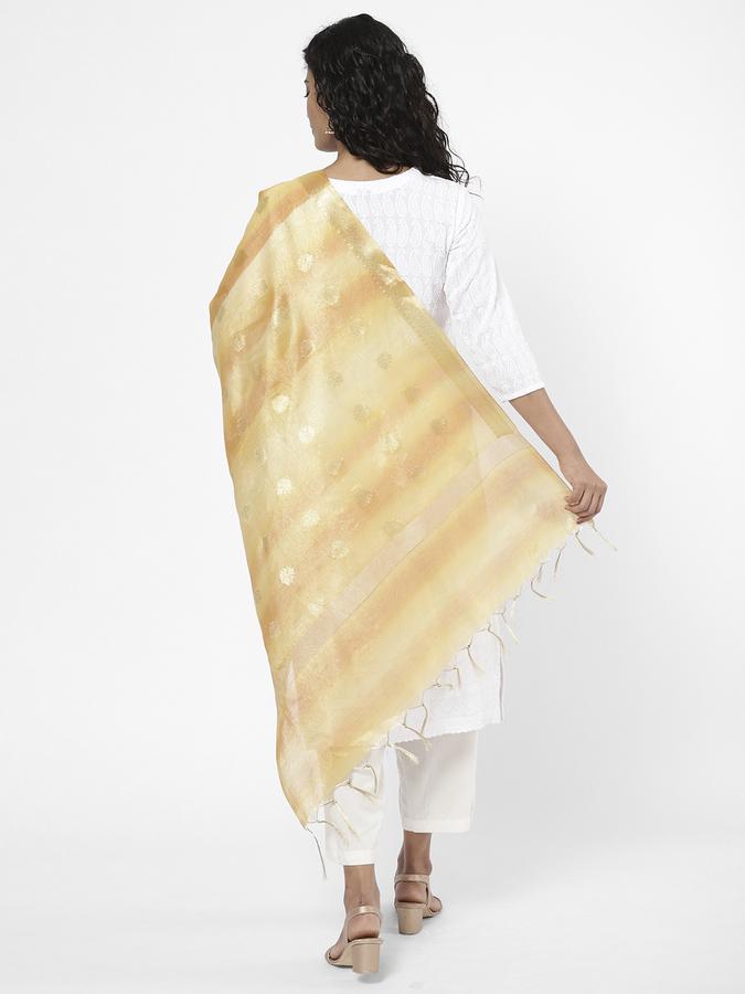 R&B Women Mustard Dupattas image number 2