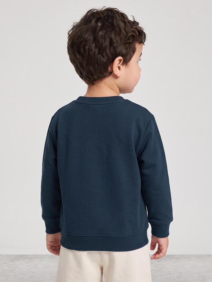 R&B Boys Green Graphic Print Round Neck Long Sleeves Sweatshirt
