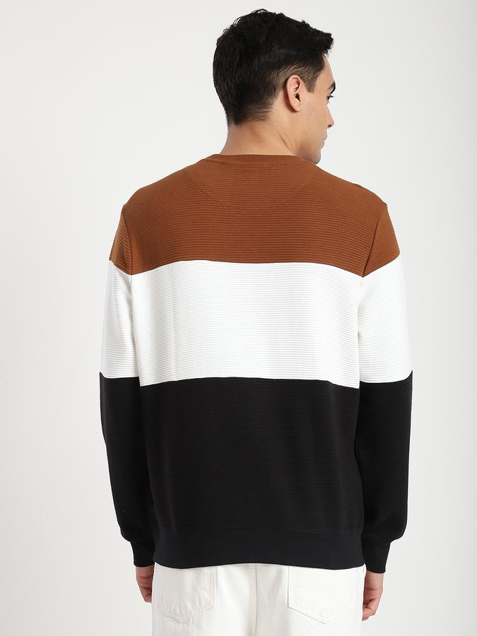 Men Cotton Regular Fit Crew Neck Color Block Sweatshirt