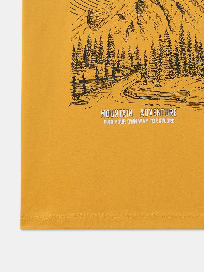 Boys Graphic Print Pure Cotton Regular T Shirt image number 3