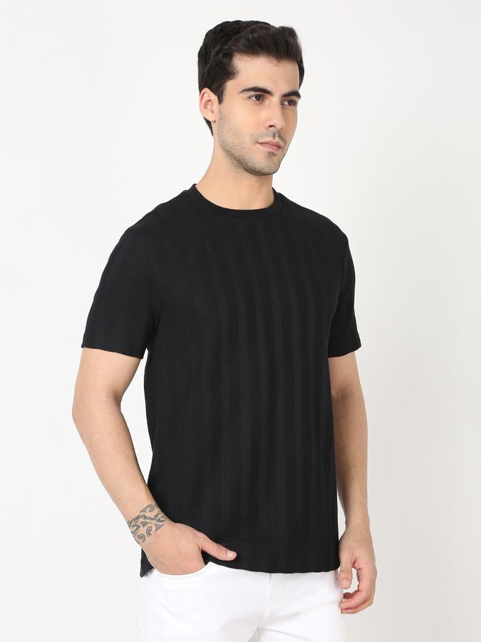Men Striped Regular Fit Crew-Neck T-Shirt image number 2
