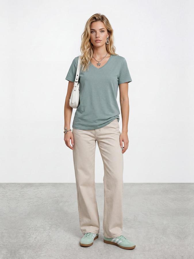 R&B Womens Classic Dusty Mint Solid V-Neck Half Sleeve Regular Fit T-Shirt