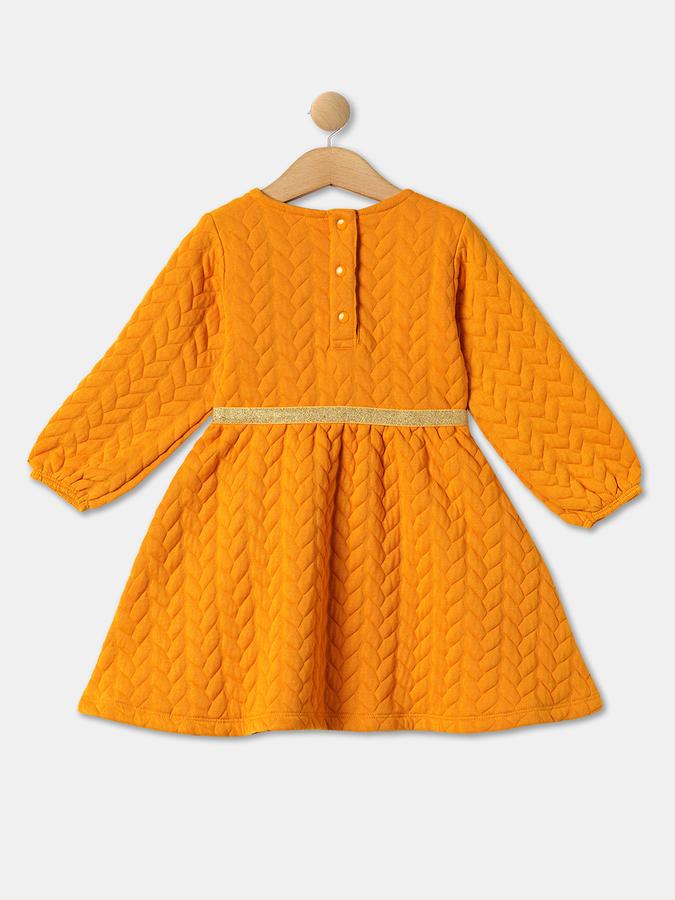Girls Knitted Fit & Flare Dress image number 1