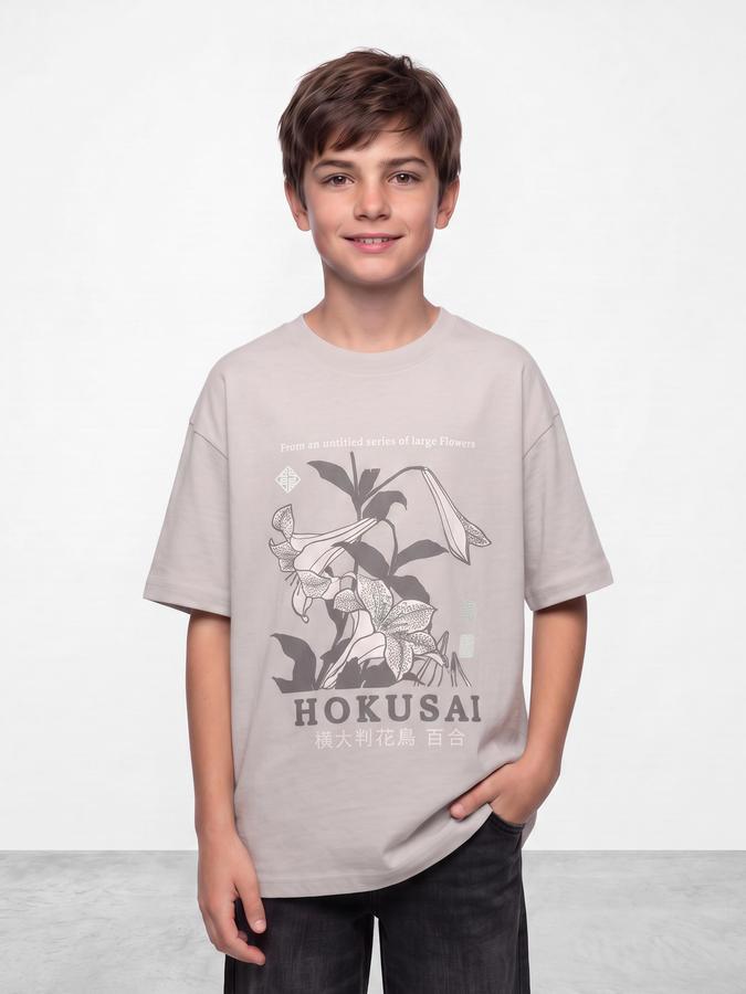 R&B Boys Grey Graphic Print Short Sleeves Round Neck Pure Cotton T-Shirt