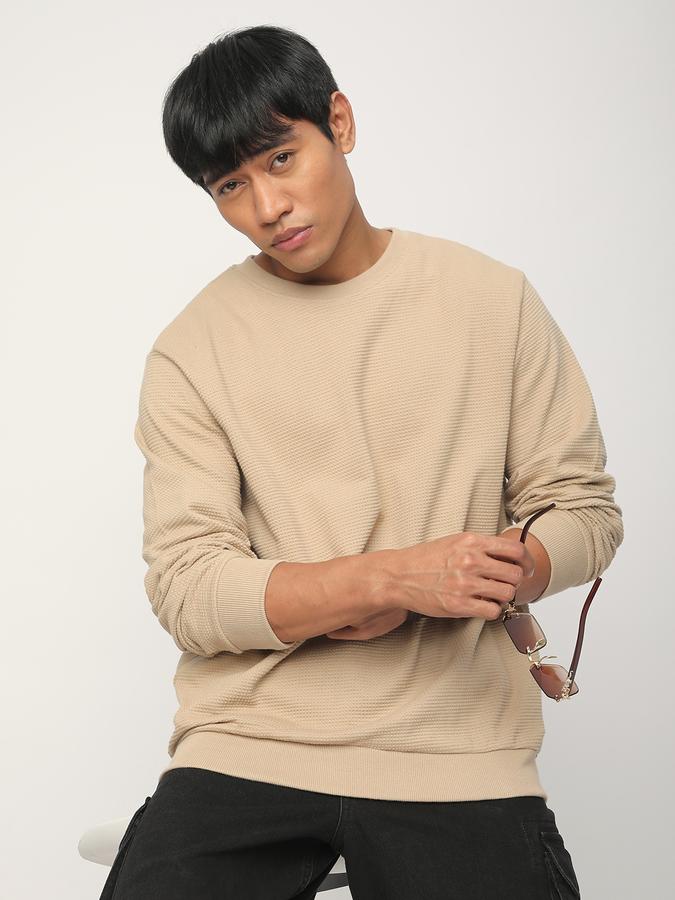 Men Cotton Regular Fit Crew Neck Solid Sweatshirt