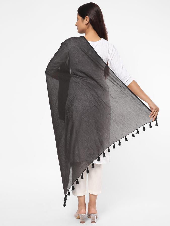 R&B Women Black Dupattas image number 2