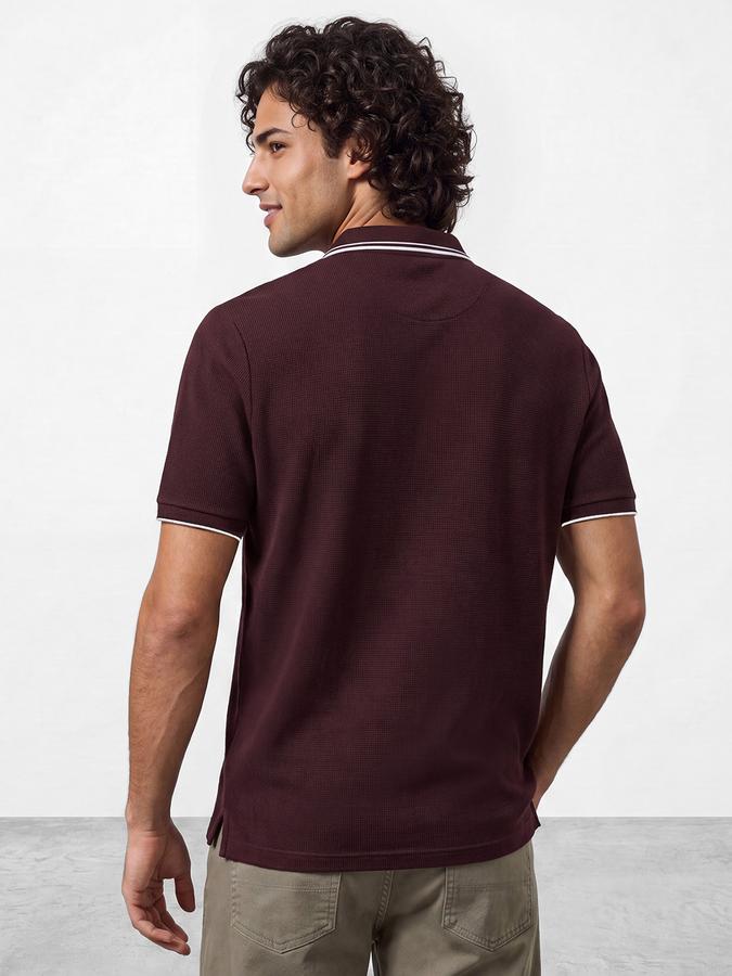 R&B Men Plum Burgundy Textured Short Sleeves Tipping Polo Collar Tshirt