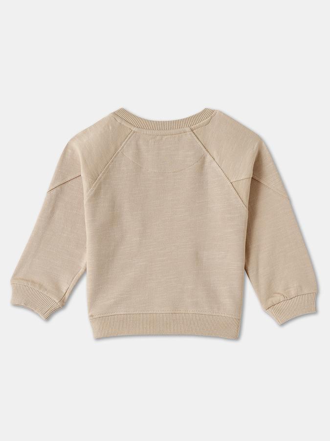 Boys Cotton Relaxed Fit Crew Neck Embroidered Sweatshirt