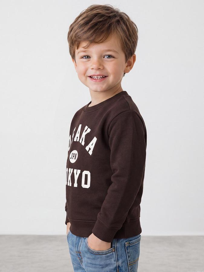 R&B Boys Brown Bold Graphic Round Neck Long Sleeves Regular Fit Sweatshirt