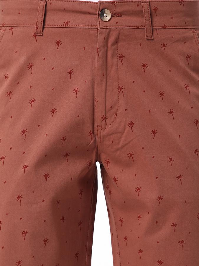 R&B Men Brown Shorts image number 3