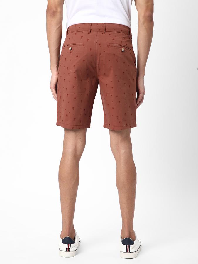 R&B Men Brown Shorts image number 2