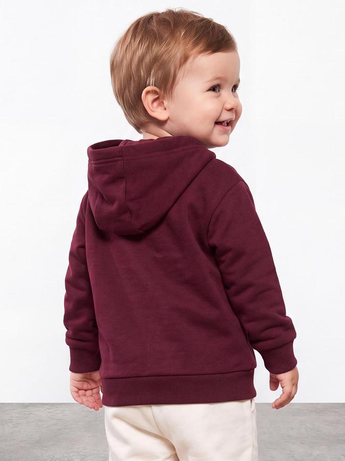 R&B Boys Maroon Graphic Print Hooded Long Sleeves Sweatshirt