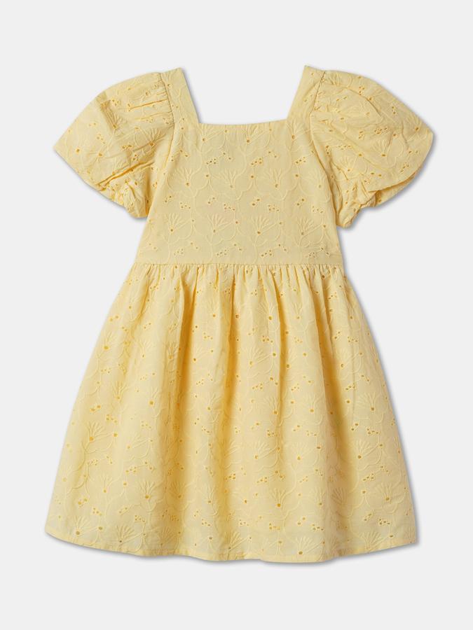 Schiffli Embroidered A-Line Dress image number 1