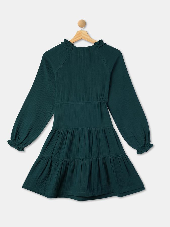 Girls Cotton A-Line Round Neck Embroidered Dress