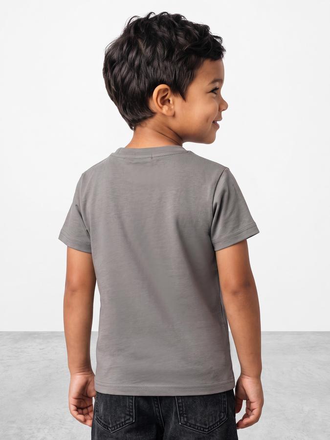 R&B Boys Grey Graphic Print Short Sleeves Round Neck Pure Cotton T-Shirt