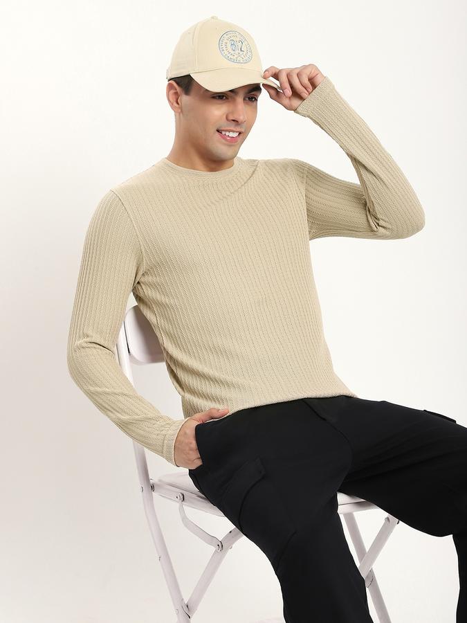 Men Cotton Blend Regular Fit Crew Neck Solid Sweater