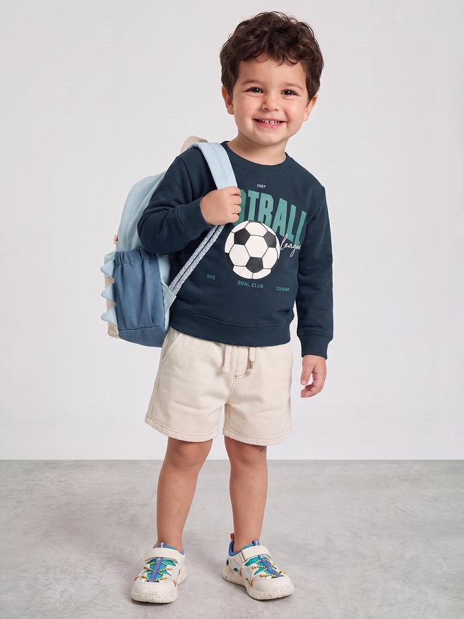R&B Boys Green Graphic Print Round Neck Long Sleeves Sweatshirt