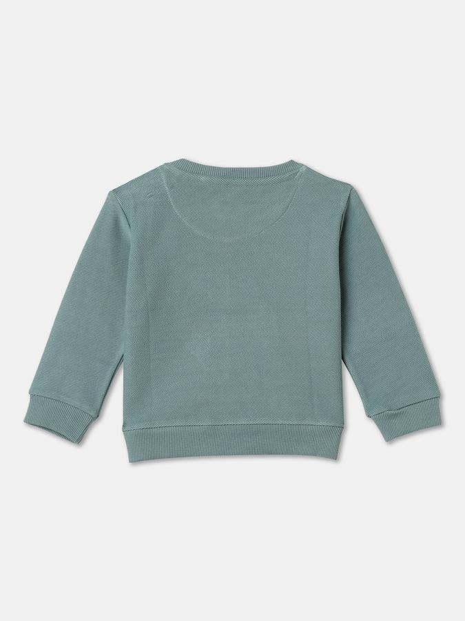 Full Sleeve Graphic Print Baby Boys Sweatshirt image number 1
