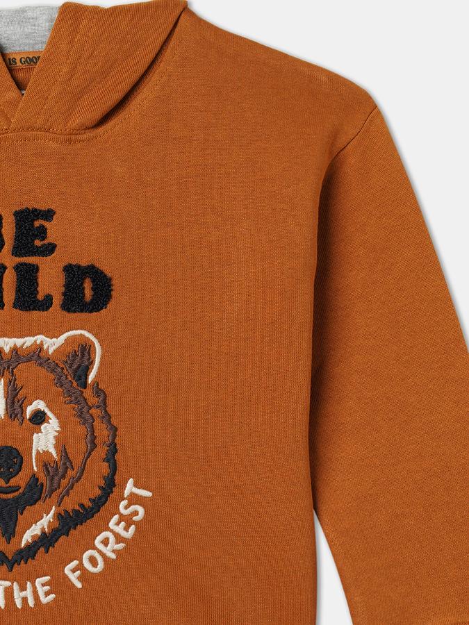 Full Sleeve Color Block Boys Sweatshirt image number 2