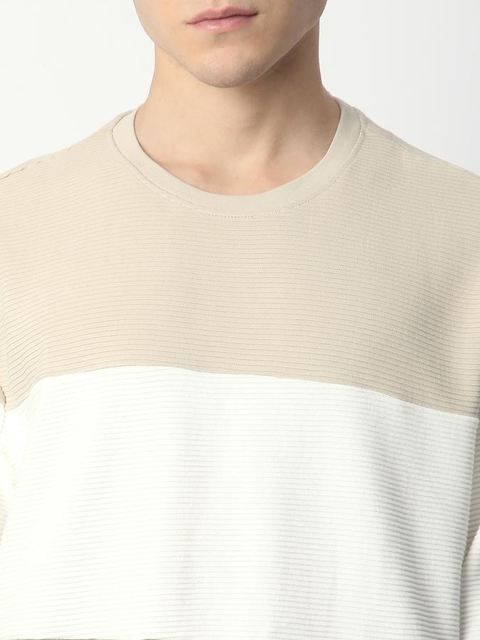 Men Cotton Regular Fit Crew Neck Colour Block Sweatshirt