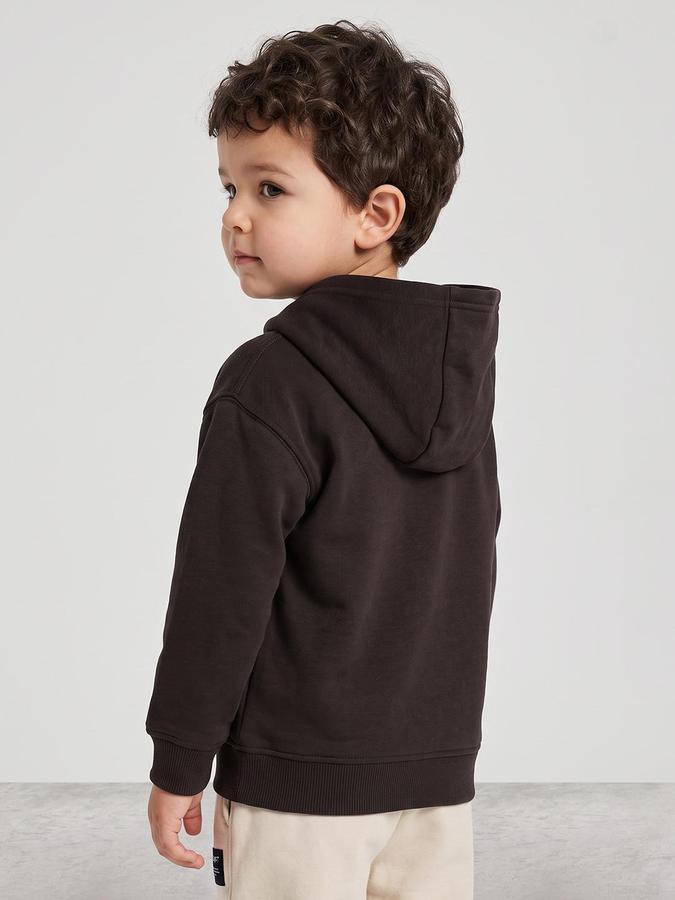 R&B Boys Brown Graphic Print Hooded Long Sleeves Sweatshirt
