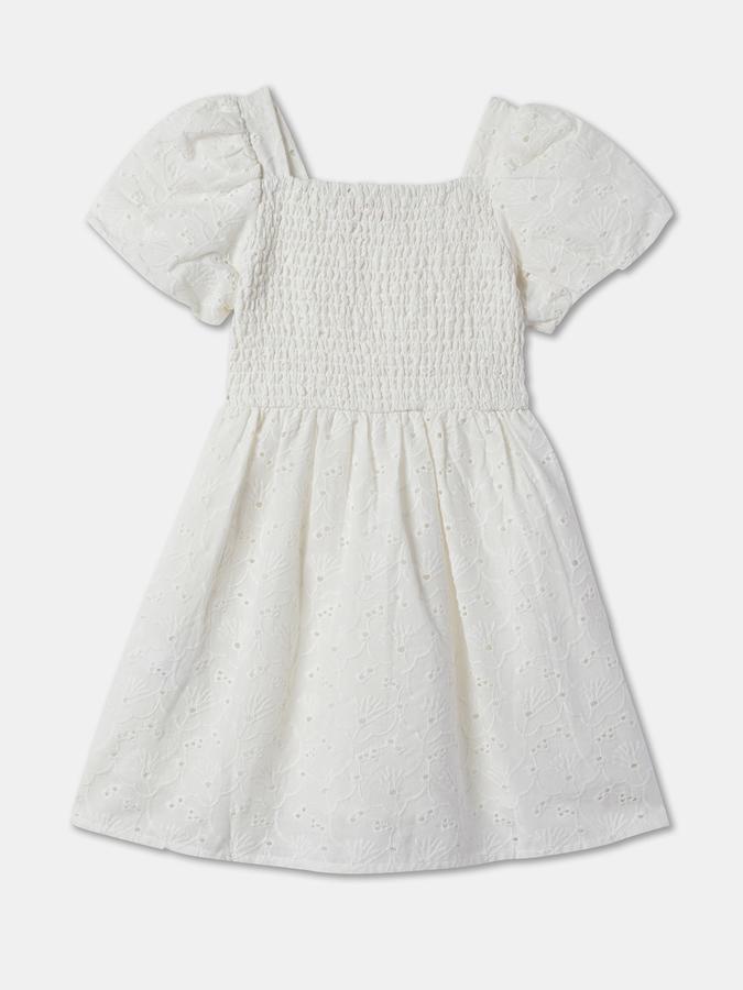 Schiffli Embroidered A-Line Dress image number 0