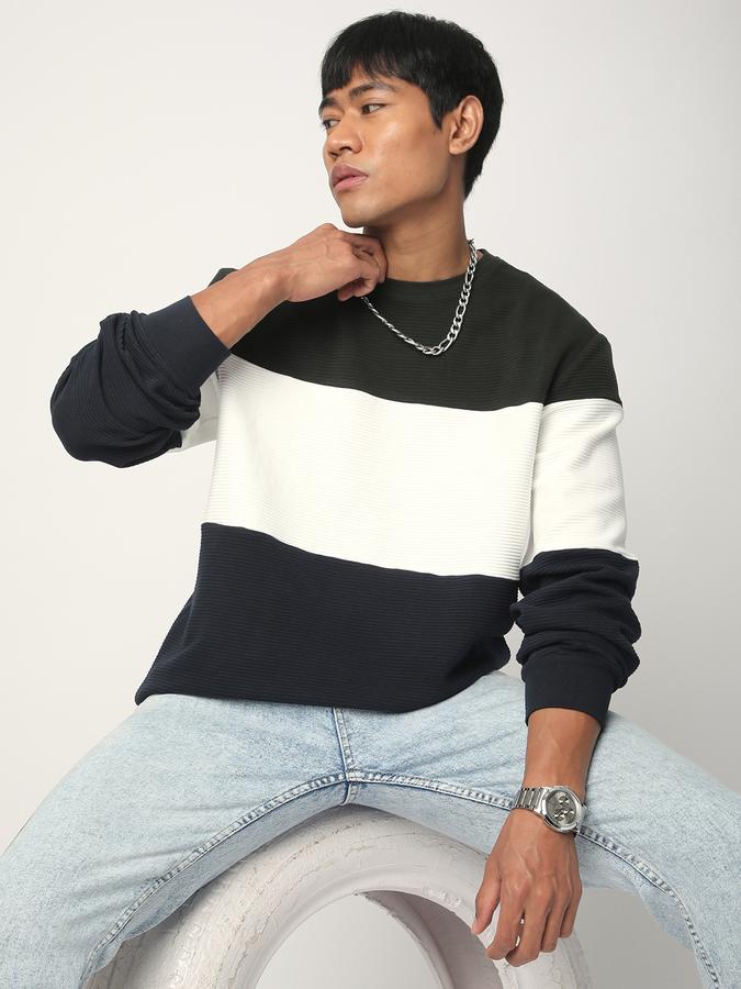 Men Cotton Regular Fit Crew Neck Colour Block Sweatshirt