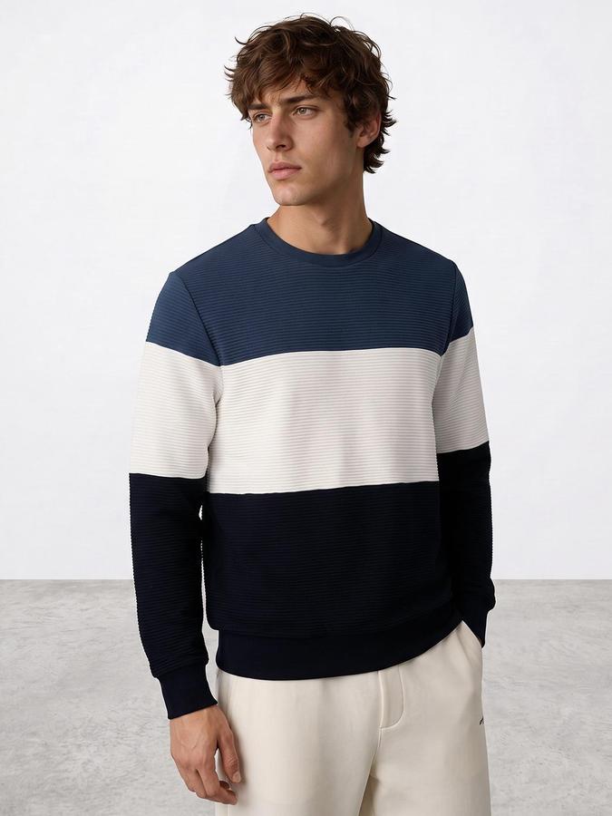 R&B Men Multi Colourblocked Round Neck Long Sleeves Sweatshirt