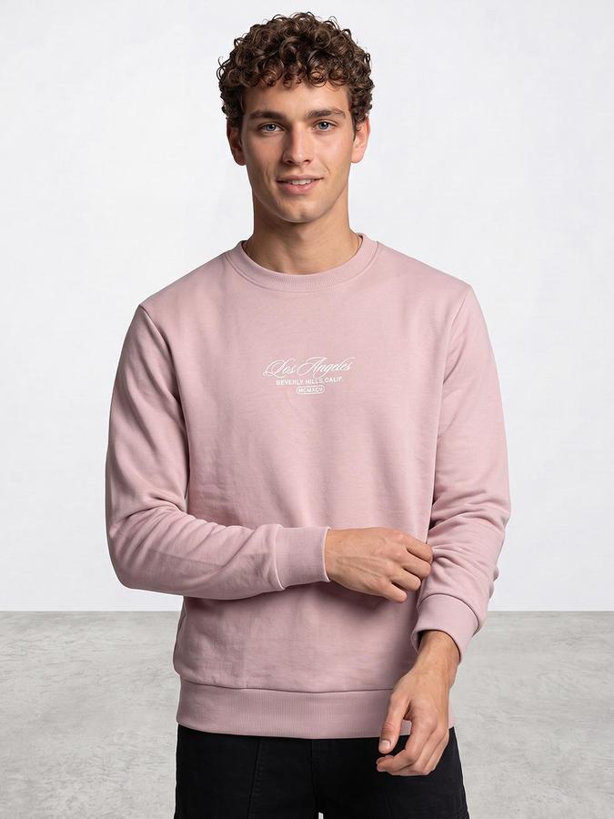 R&B Men Pink Typography Print Round Neck Long Sleeves Sweatshirt