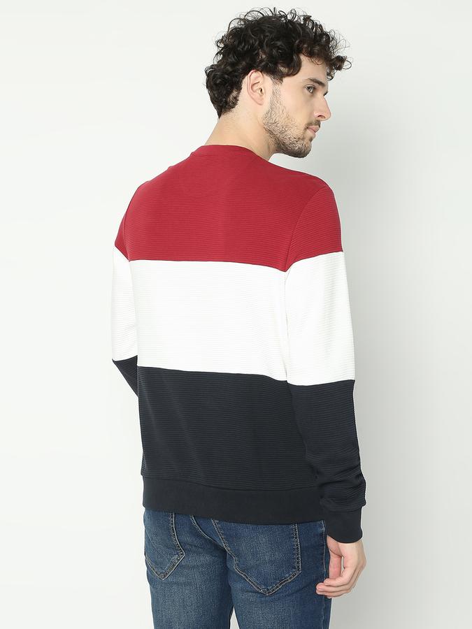 Men Cotton Regular Fit Crew Neck Colour Block Sweatshirt