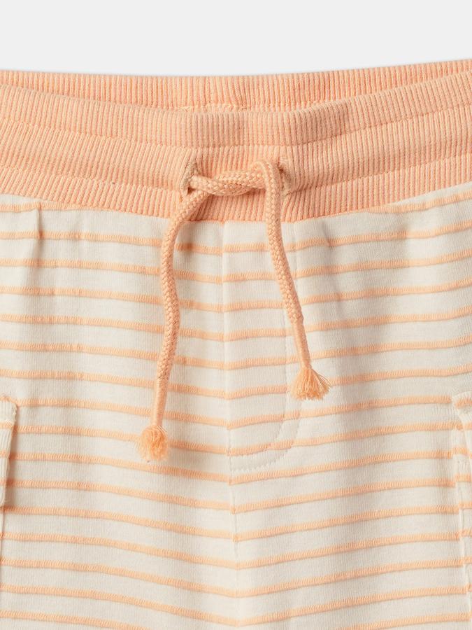 Boys Striped Regular Fit Shorts image number 3