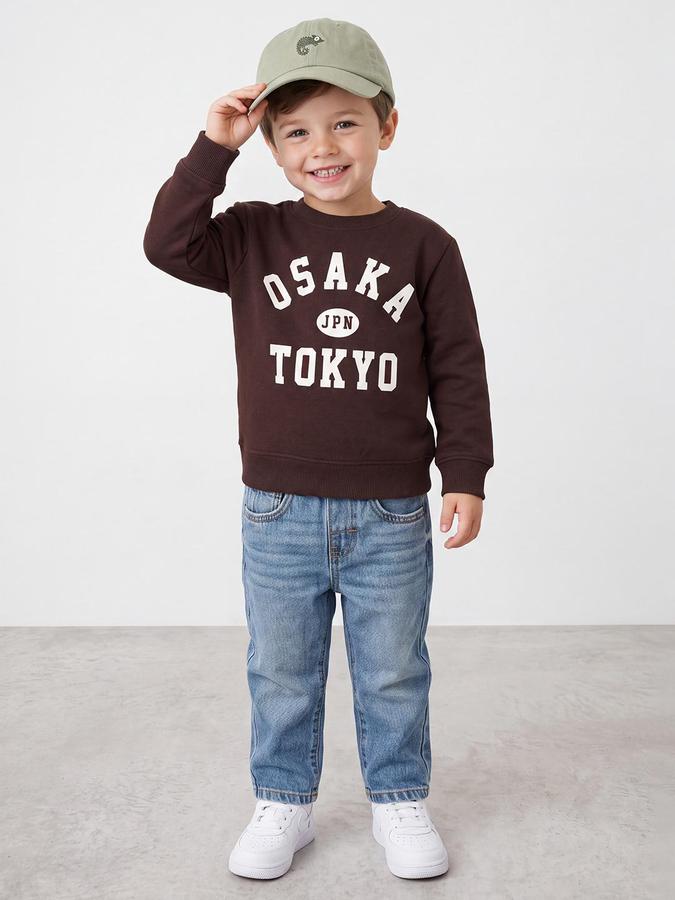 R&B Boys Brown Bold Graphic Round Neck Long Sleeves Regular Fit Sweatshirt