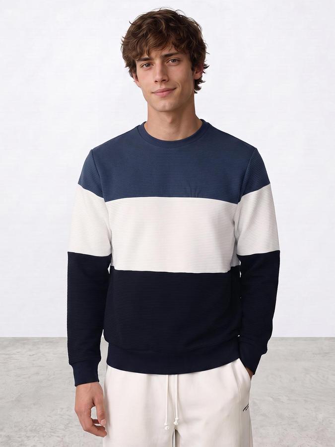 R&B Men Multi Colourblocked Round Neck Long Sleeves Sweatshirt
