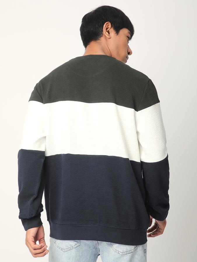 Men Cotton Regular Fit Crew Neck Colour Block Sweatshirt