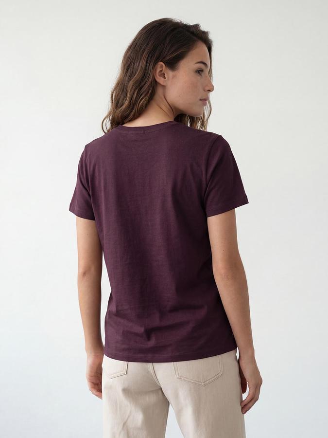 R&B Womens Classic Wine Solid V-Neck Half Sleeve Regular Fit T-Shirt