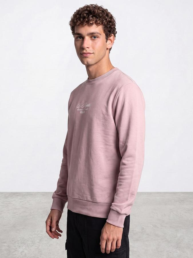R&B Men Pink Typography Print Round Neck Long Sleeves Sweatshirt