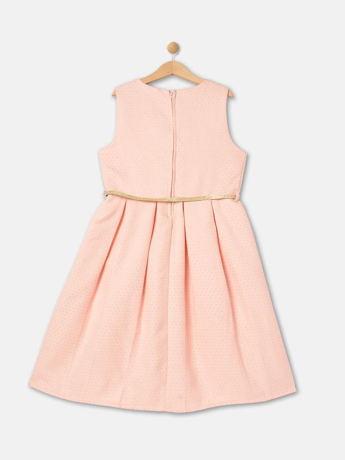 R&B Girl's Jacquard Partywear Dress image number 1
