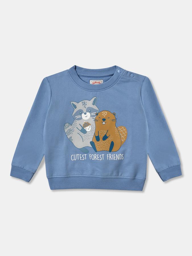 Full Sleeve Graphic Print Baby Boys Sweatshirt 