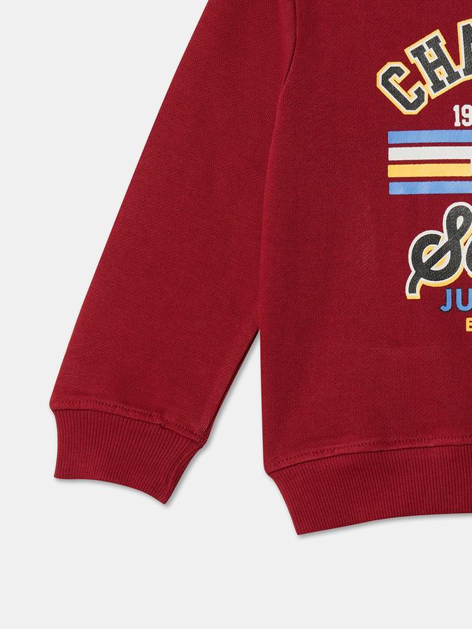 Boys Cotton Regular Fit Crew Neck Graphic Sweatshirt