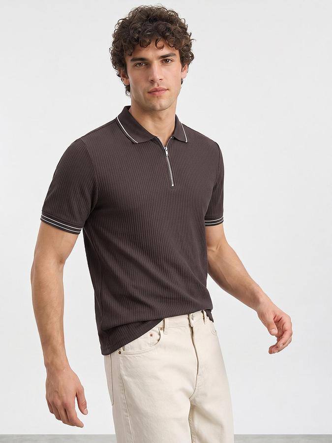 R&B Men Brown Ribbed Short Sleeves Polo Tshirt