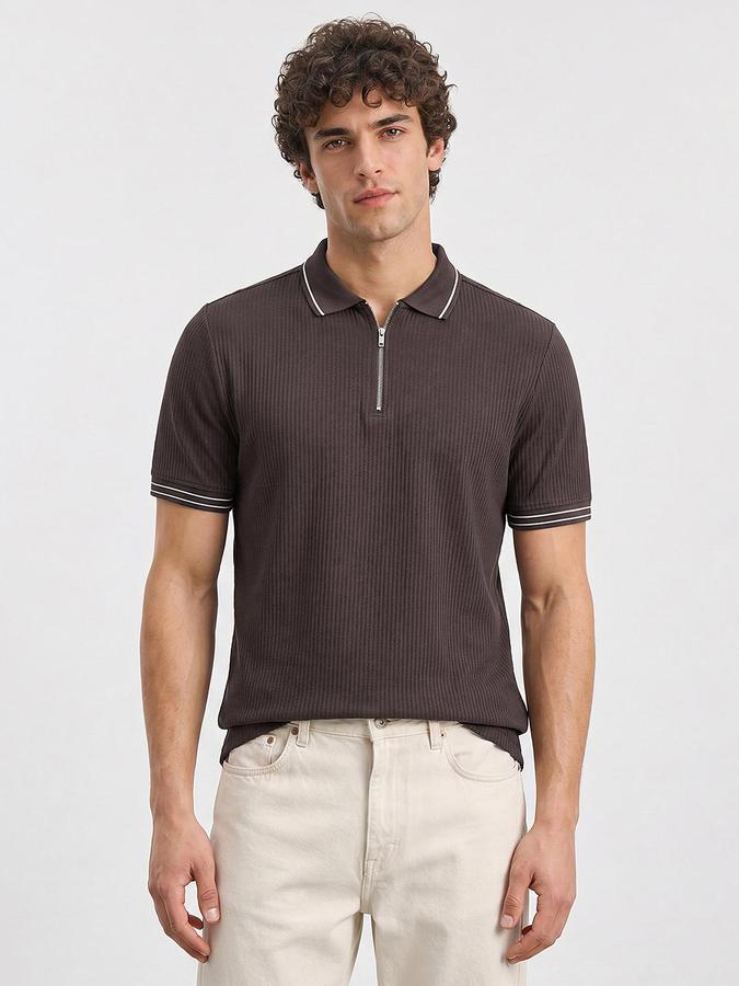R&B Men Brown Ribbed Short Sleeves Polo Tshirt