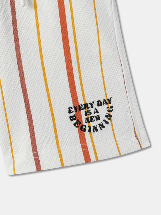 Boys Striped Regular Fit Shorts image number 2