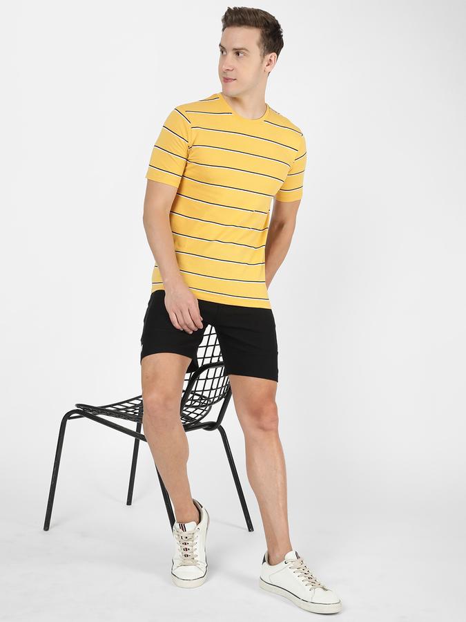Men Cotton Regular Fit Crew Neck Striped T-shirt