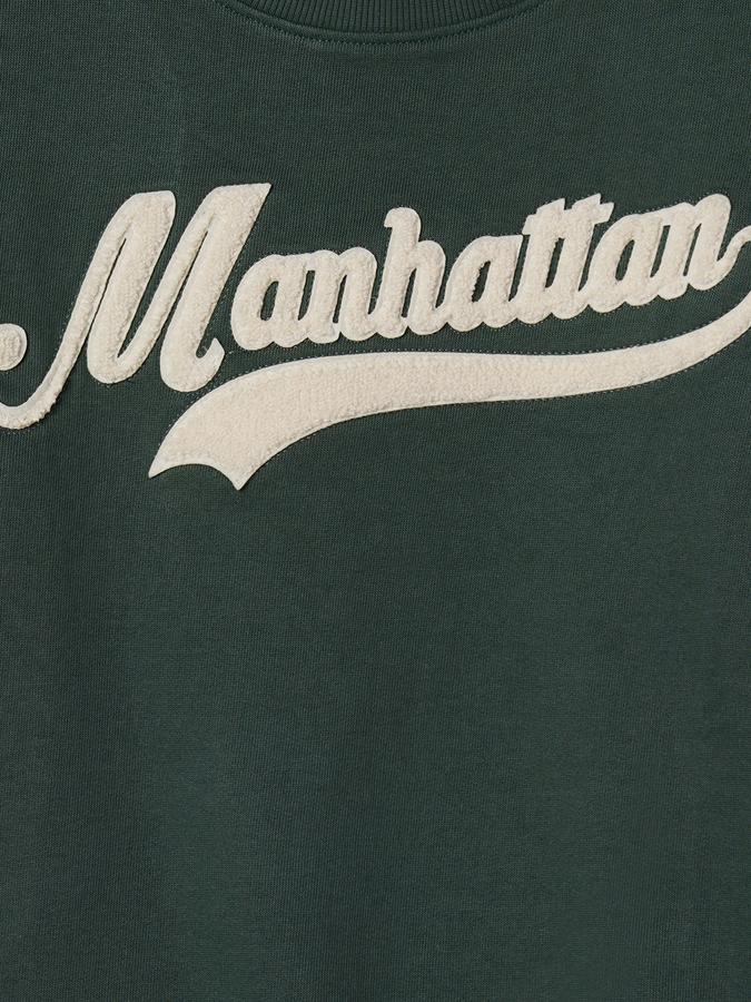 Boys Cotton Regular Fit Crew Neck Applique Sweatshirt