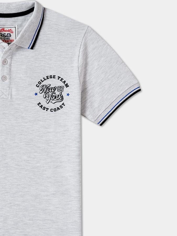 Boys Regular Fit Short Sleeve Polo Collar T-Shirt