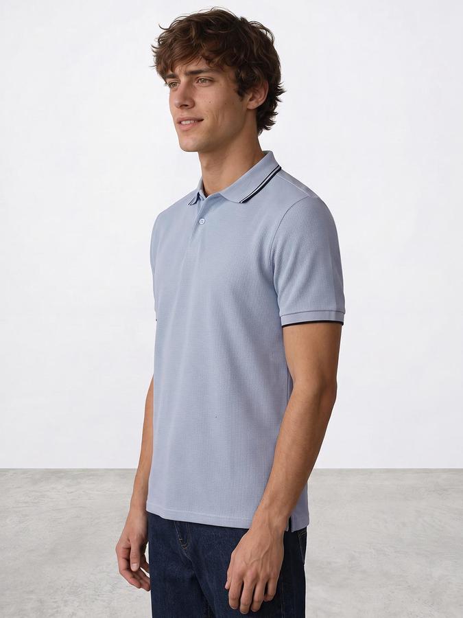 R&B Men Sky Blue Textured Short Sleeves Polo Collar T-Shirt