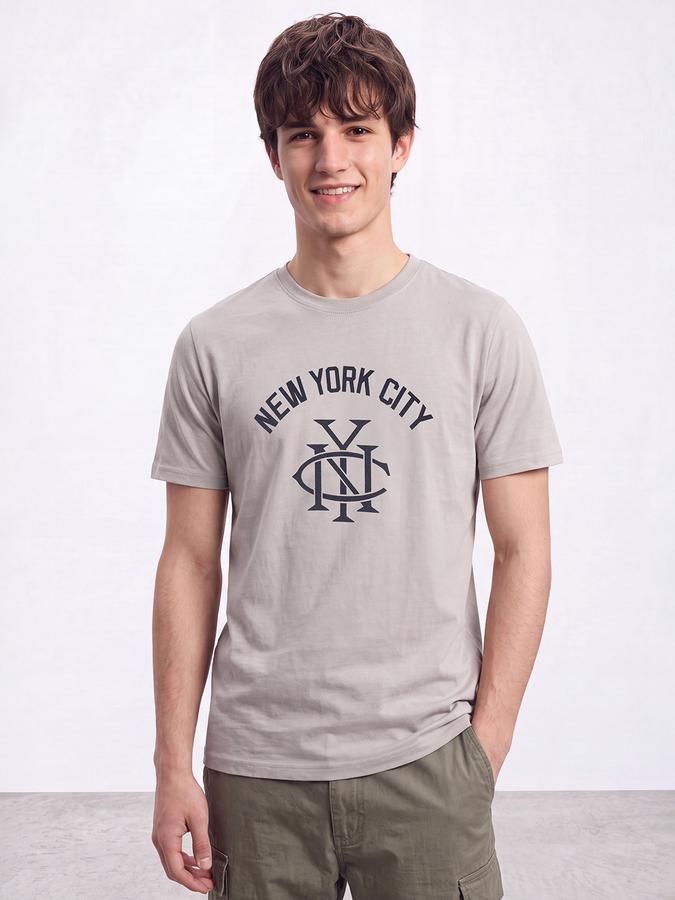 R&B Men Vapor Grey Graphic Print Short Sleeves Pure Cotton Tshirt