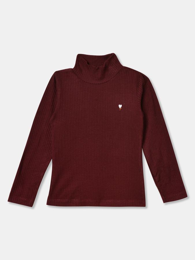 Girls Ribbed Regular Fit Long Sleeve Turtleneck Top